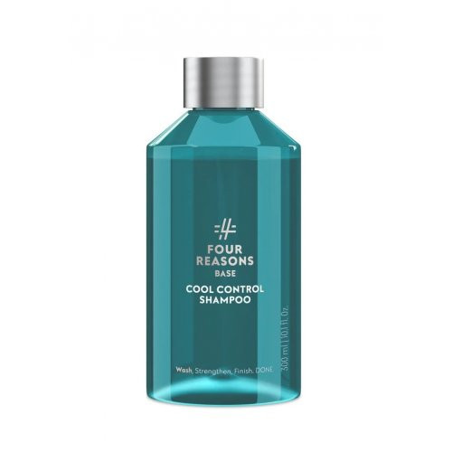 Vėsinamasis šampūnas vyrams Base Cool Control Shampoo 300ml