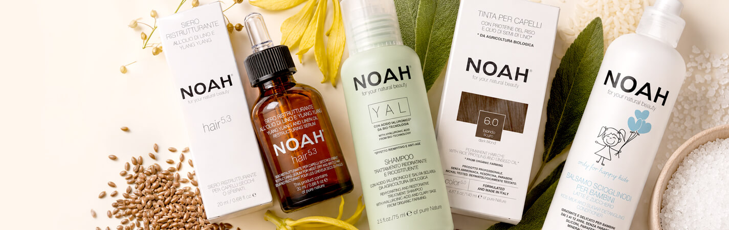 Noah